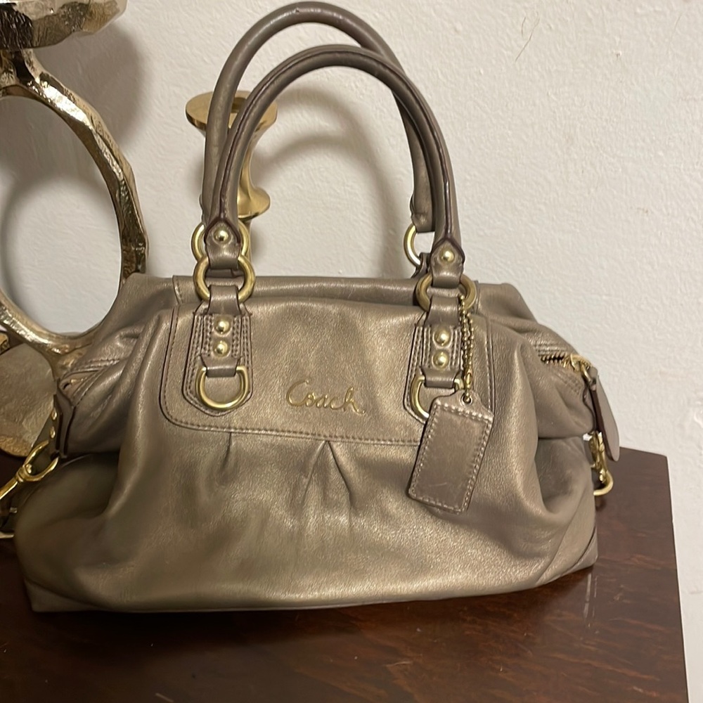 Coach Ashley Pleated Oyster Leather Bag F15445